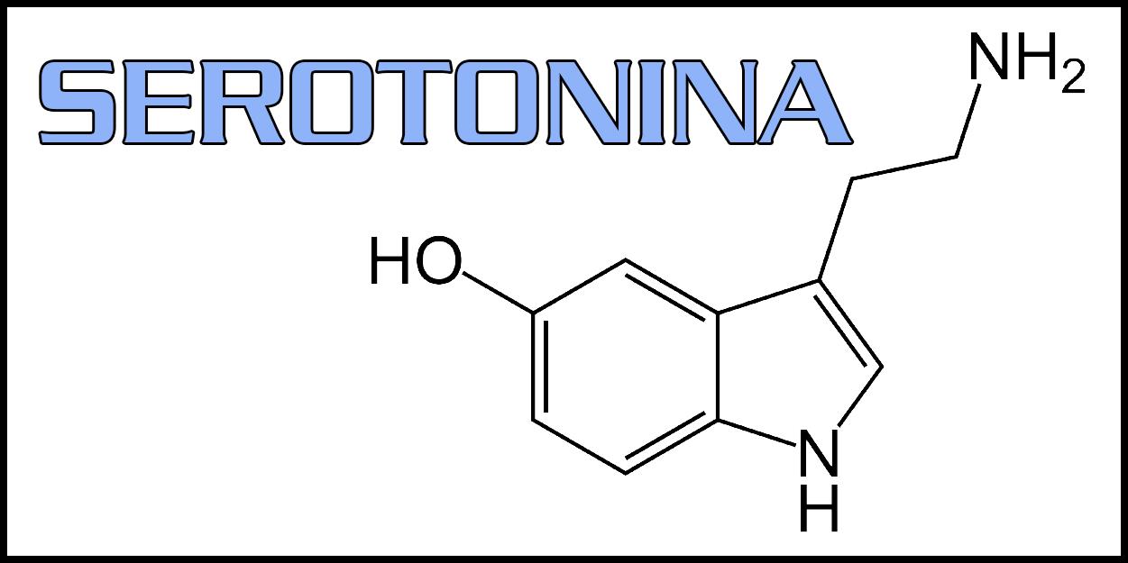 SEROTONINA LOGO